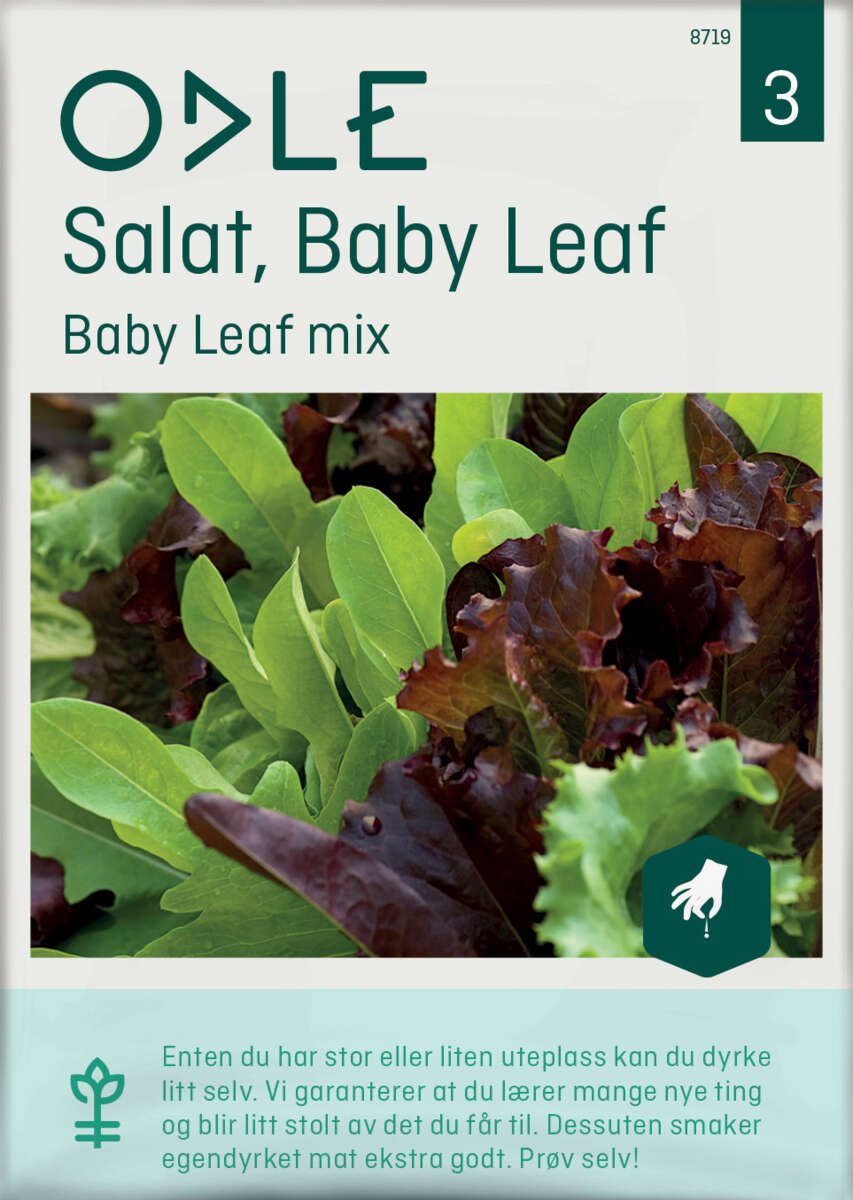 Odle Baby Leaf mix salat frø