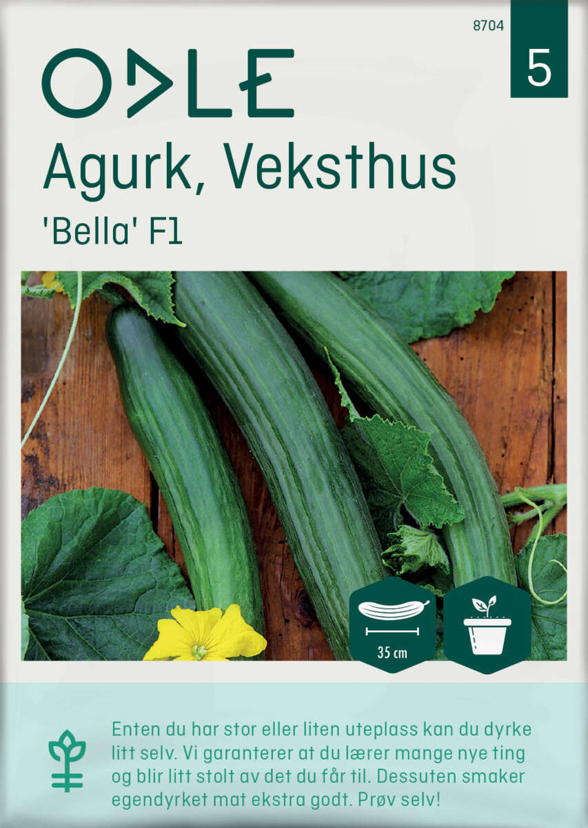 Odle 'Bella' F1 veksthus slangeagurk frø