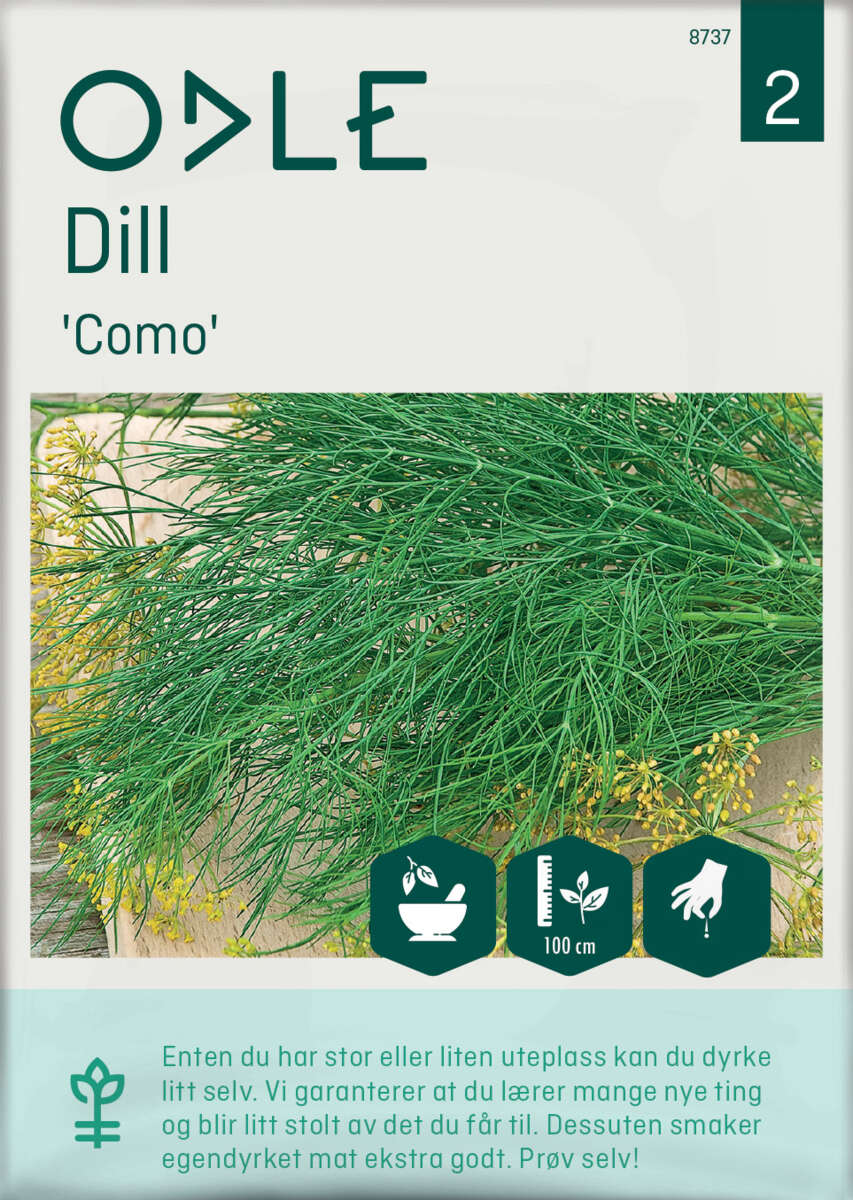 Odle 'Como' dill frø