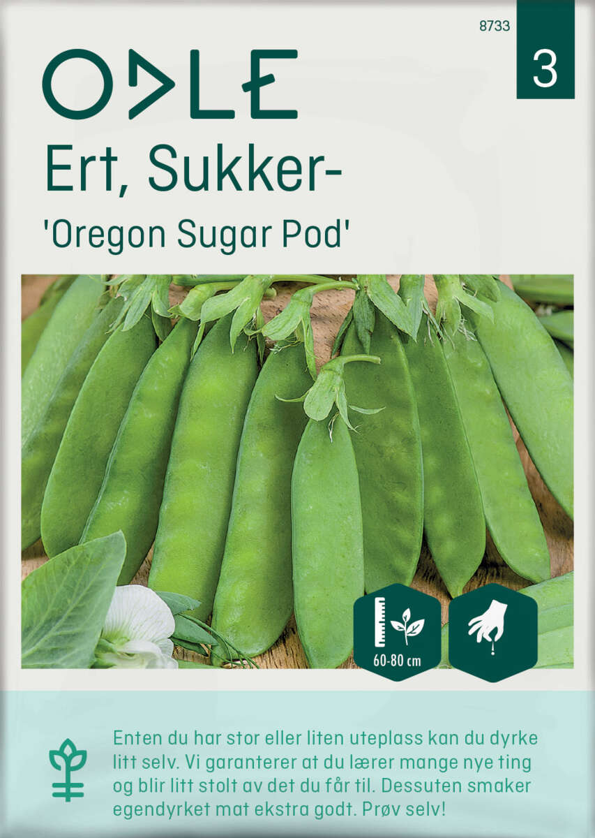 Odle 'Oregon Sugar Pod' sukkerert frø