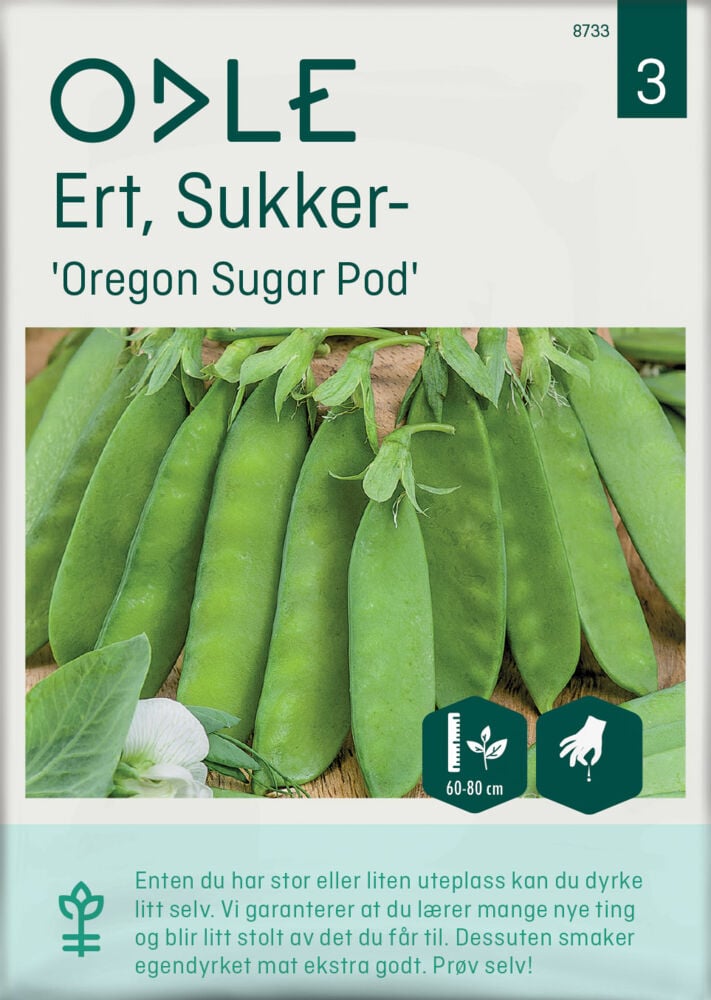 Odle 'Oregon Sugar Pod' sukkerert frø