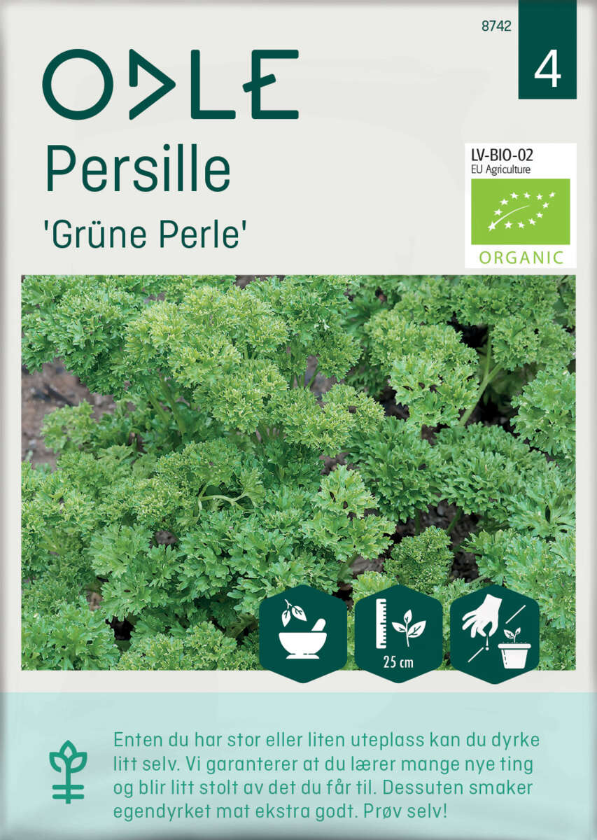 Odle 'Grüne Perle' persille frø