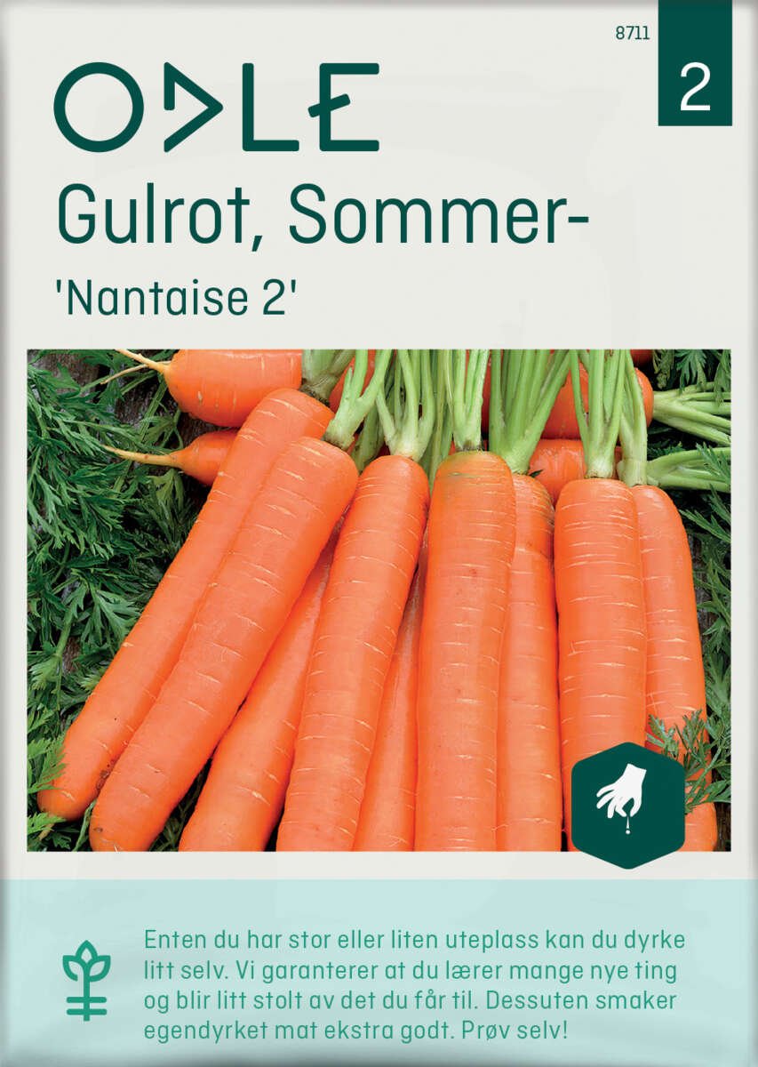 Odle 'Nantaise 2' sommer- gulrot frø