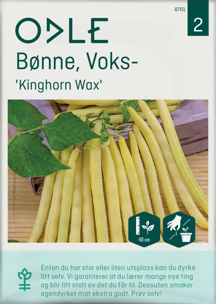 Odle 'Kinghorn Wax' voks bønne frø