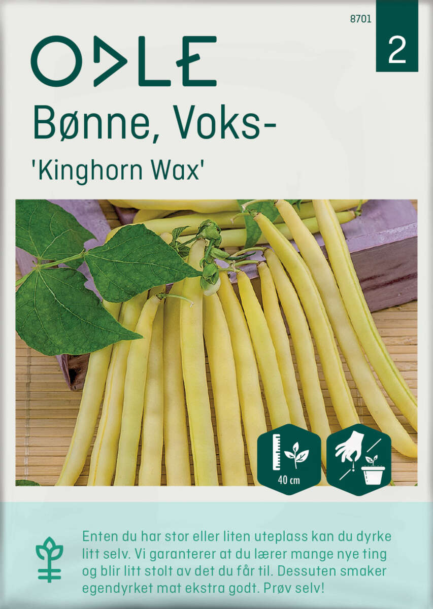 Odle 'Kinghorn Wax' voks bønne frø