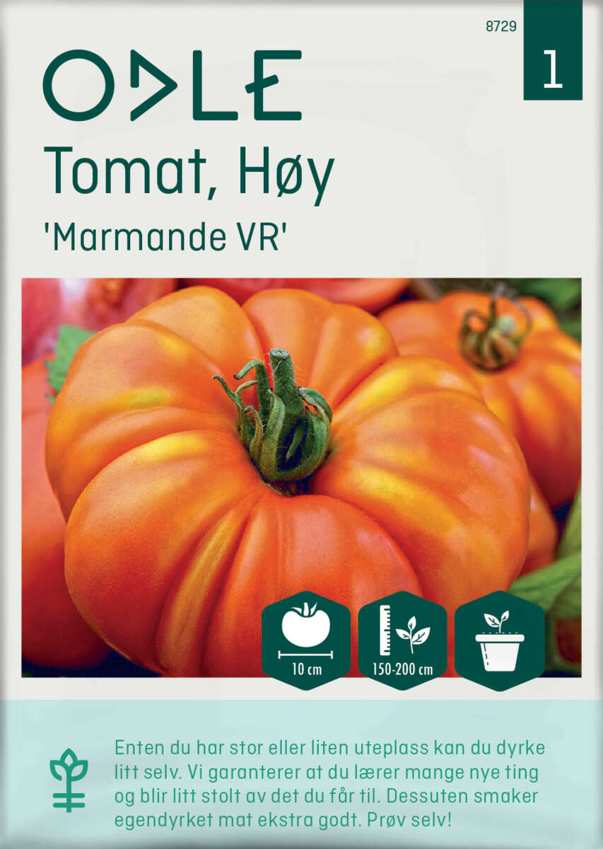 Odle ' Marmande VR' høy tomat frø