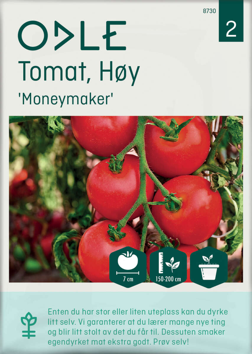 Odle 'Moneymaker' høy tomat frø