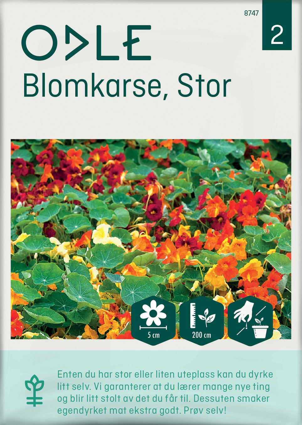 Odle stor blomkarse frø