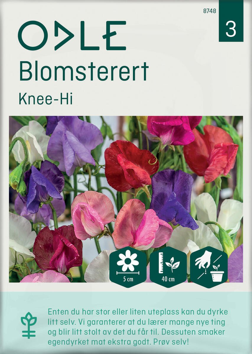 Odle 'Knee-Hi' blomsterert frø