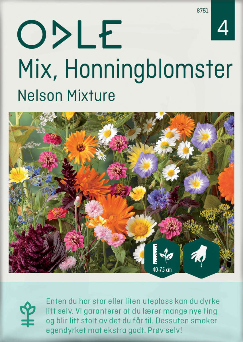 Odle 'Nelson Mixture' mix honningblomster frø