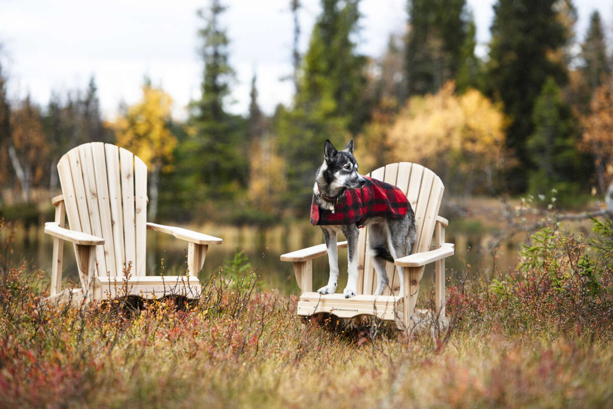 Canadian Outdoor stol