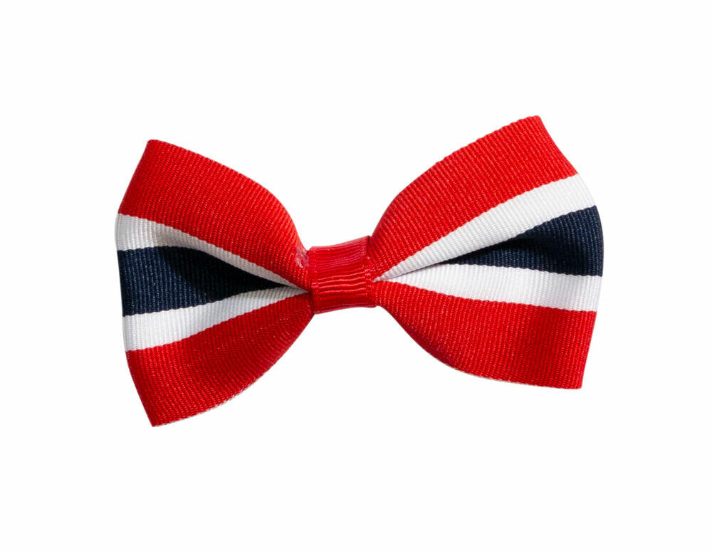 17.mai hårspenne