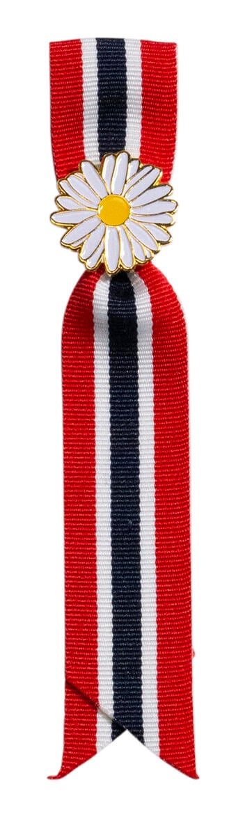17.mai sløyfe