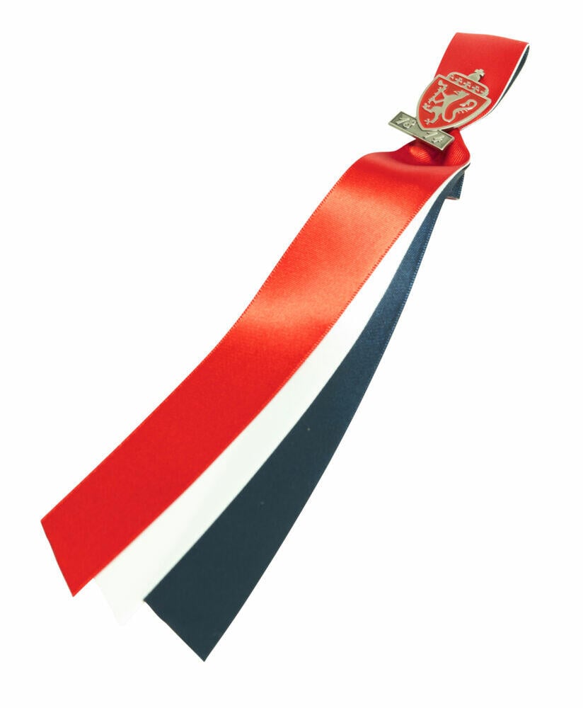 17.mai sløyfe