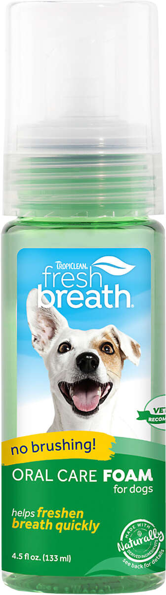 Fresh Mint Foam 133ml