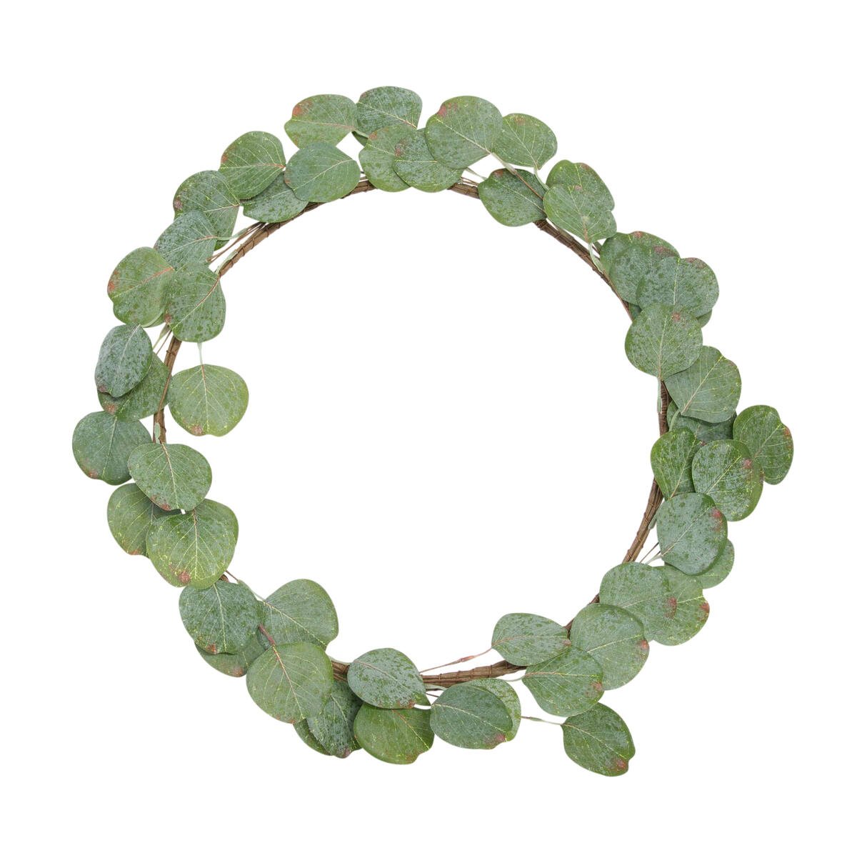 Eucalypturkrans, Ø50cm