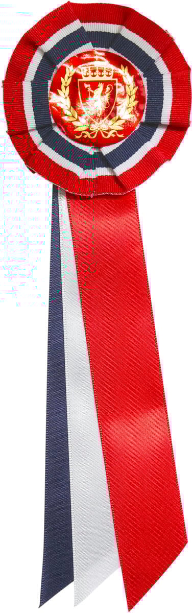 17. mai sløyfe