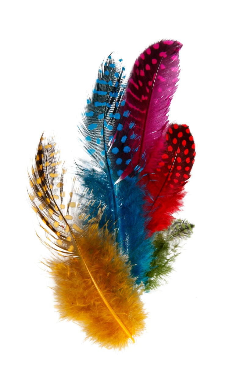 Creativ Company Perlehønsfjær