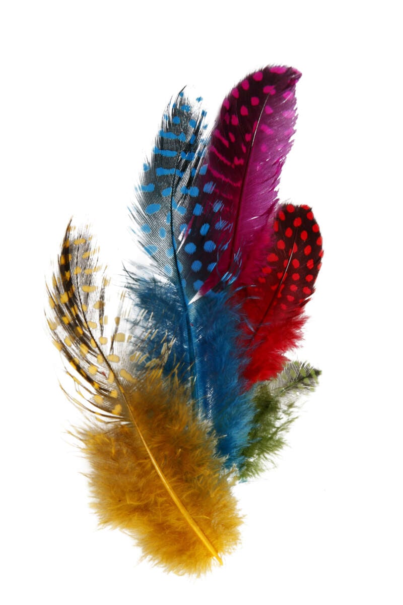 Creativ Company Perlehønsfjær