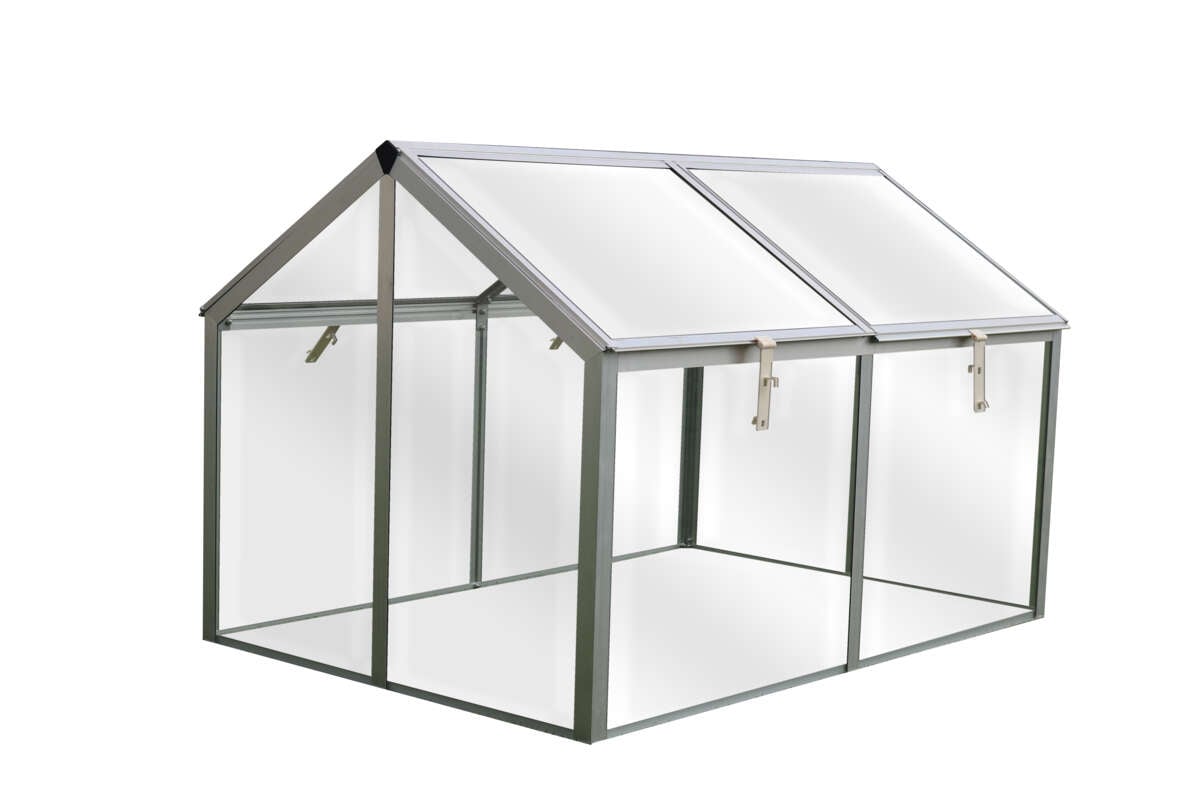 Odle minidrivhus, glass