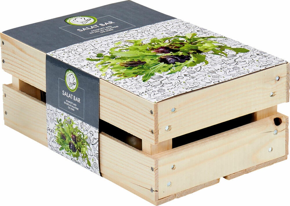 Trekasse Salatfrø inkludert kompost og frø