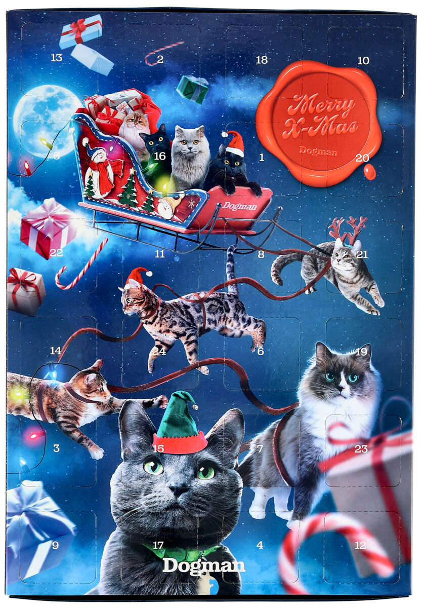 Dogman Adventskalender Katt