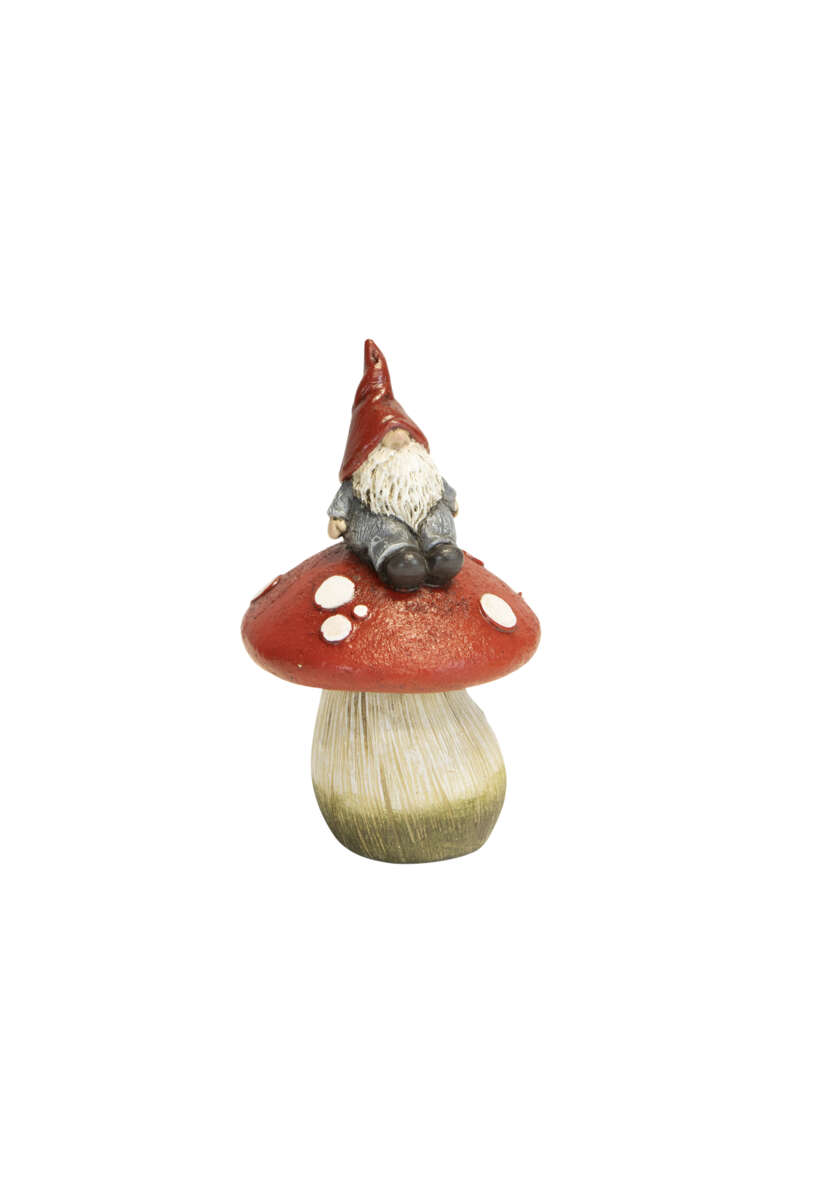 Pål mininisse på sopp