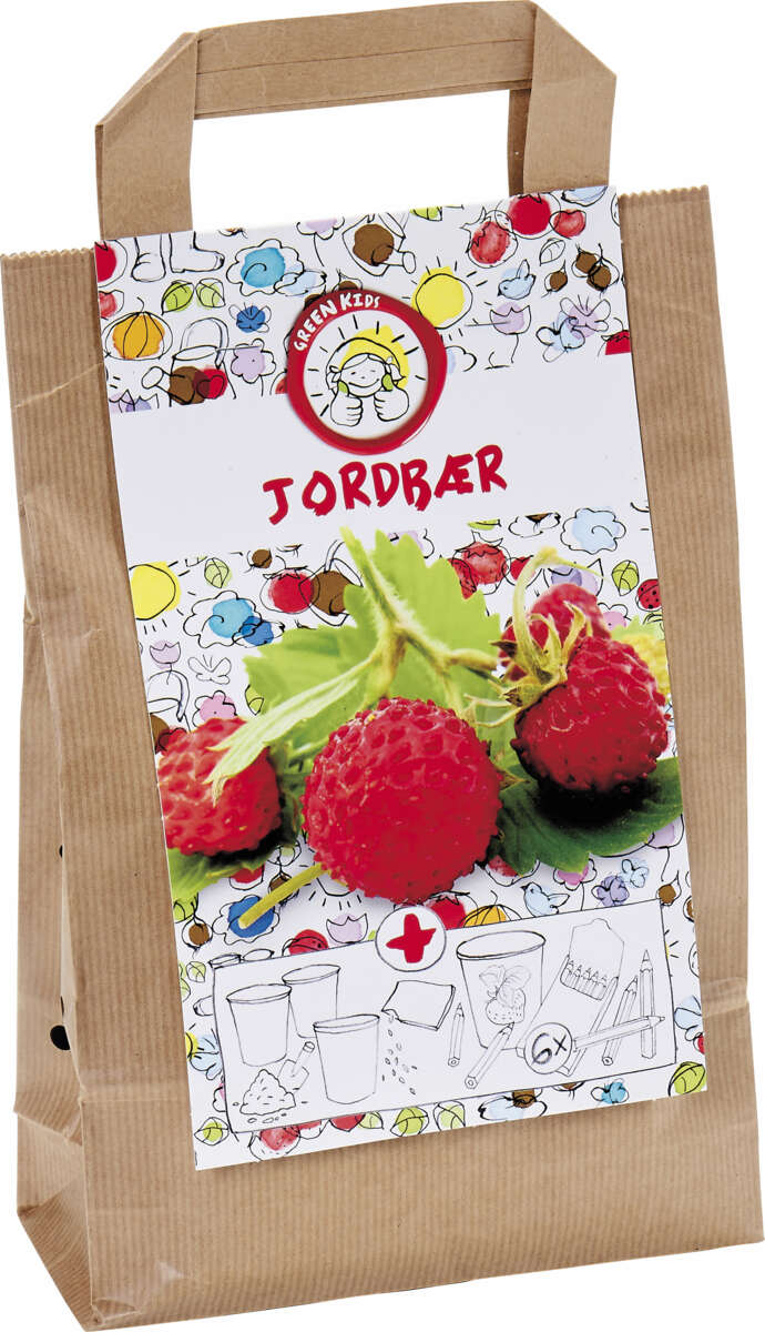 Gavebag såsett m/jordbærfrø
