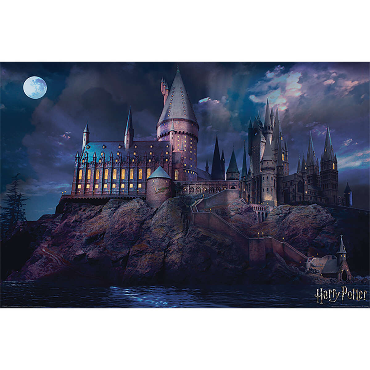 Harry Potter™ Hogwarts plakat
