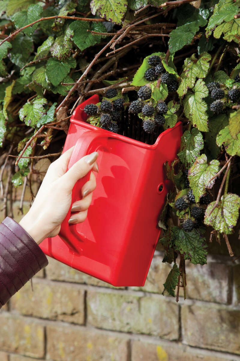 Bærplukker med plastgafler