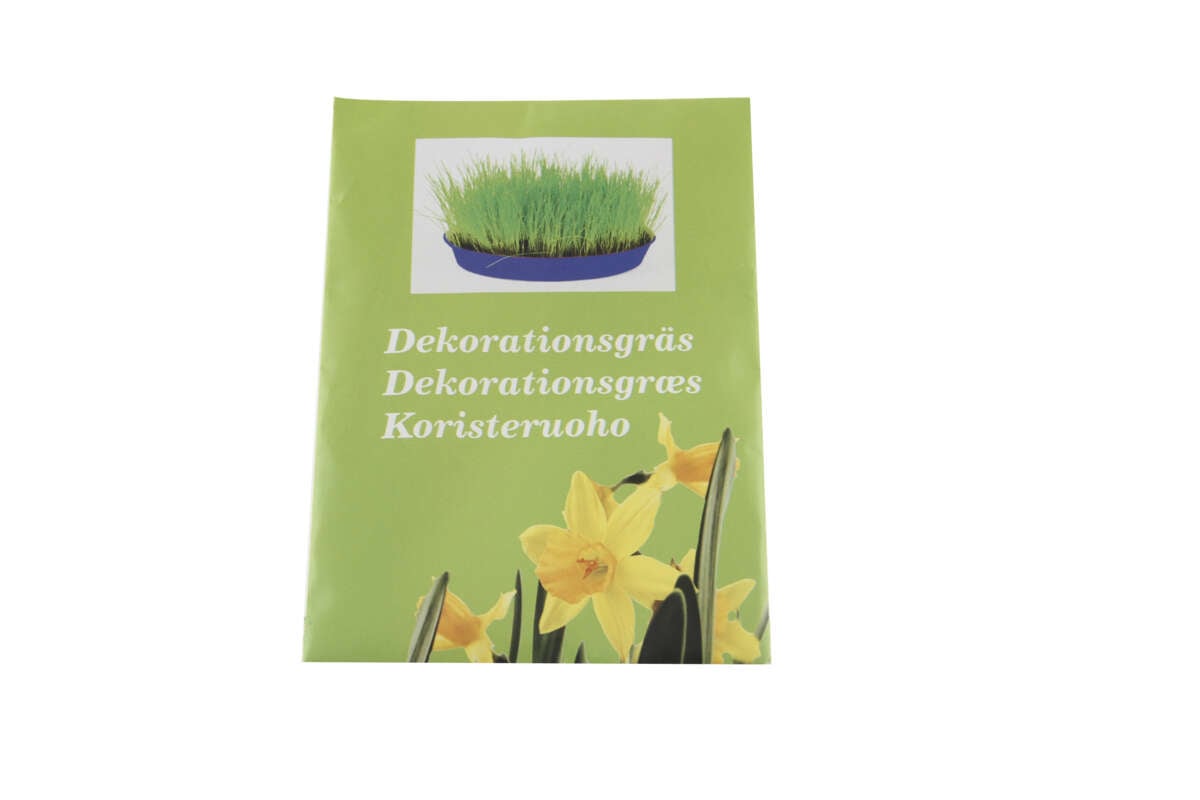 Pyntegress Timotei gressfrø