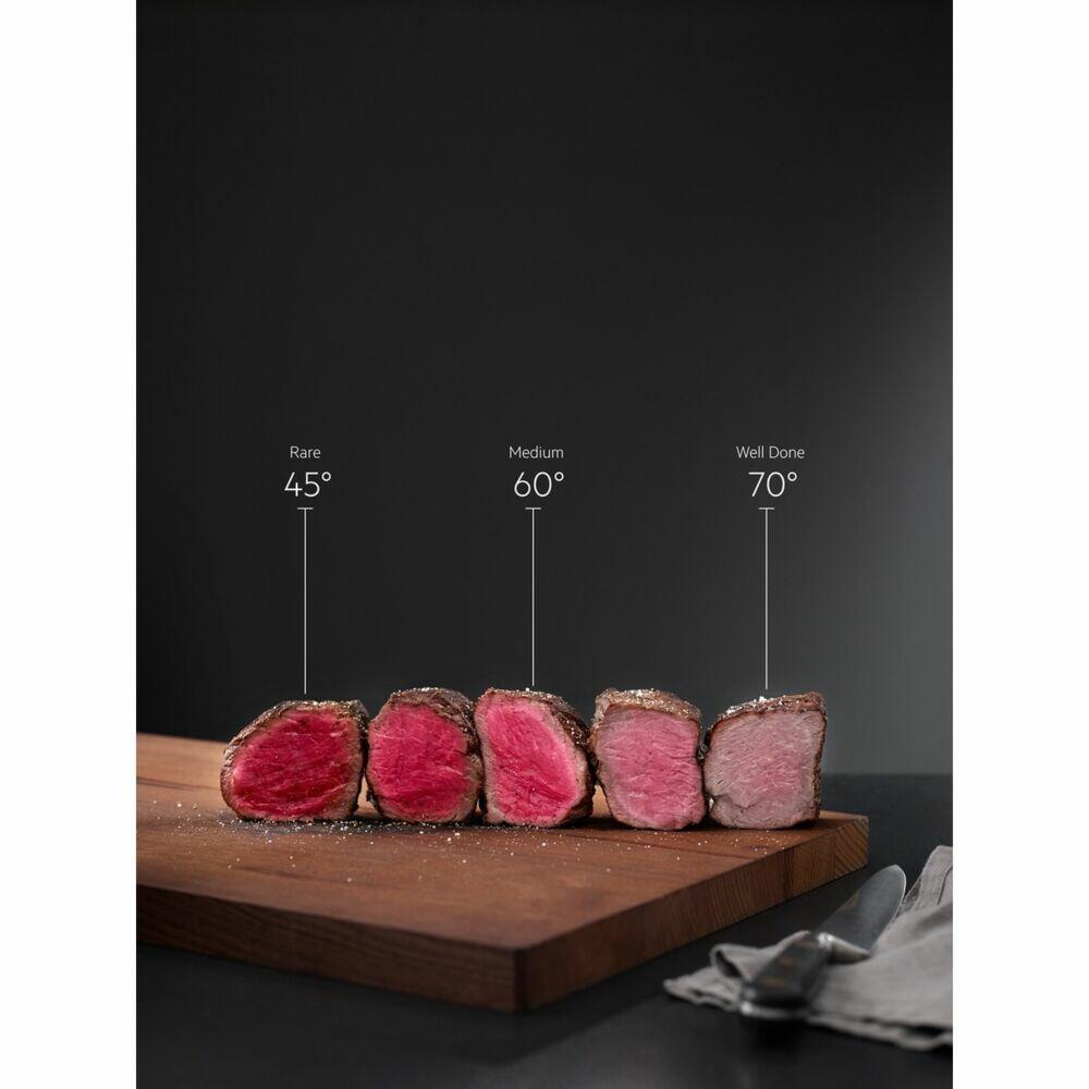 AEG BSE577021M SteamCrisp Stekeovn