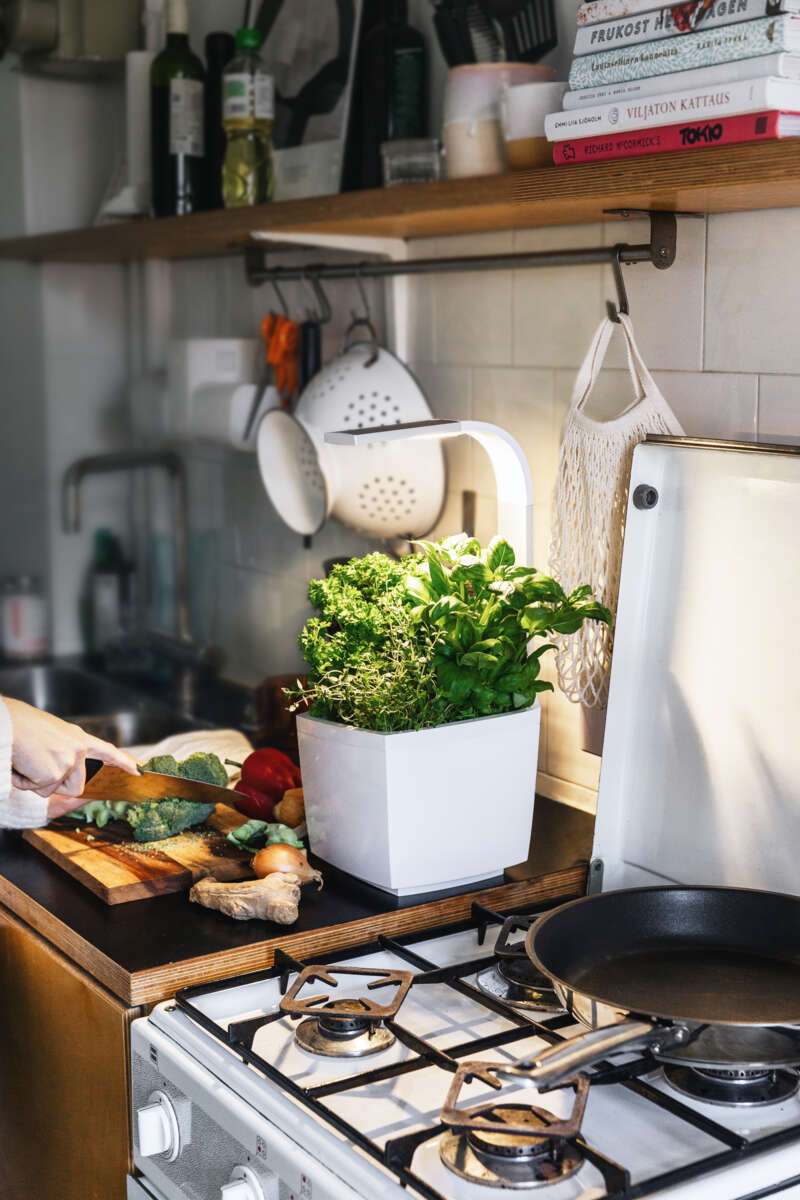 Tregren kjøkkenhage/minidrivhus T3, hvit