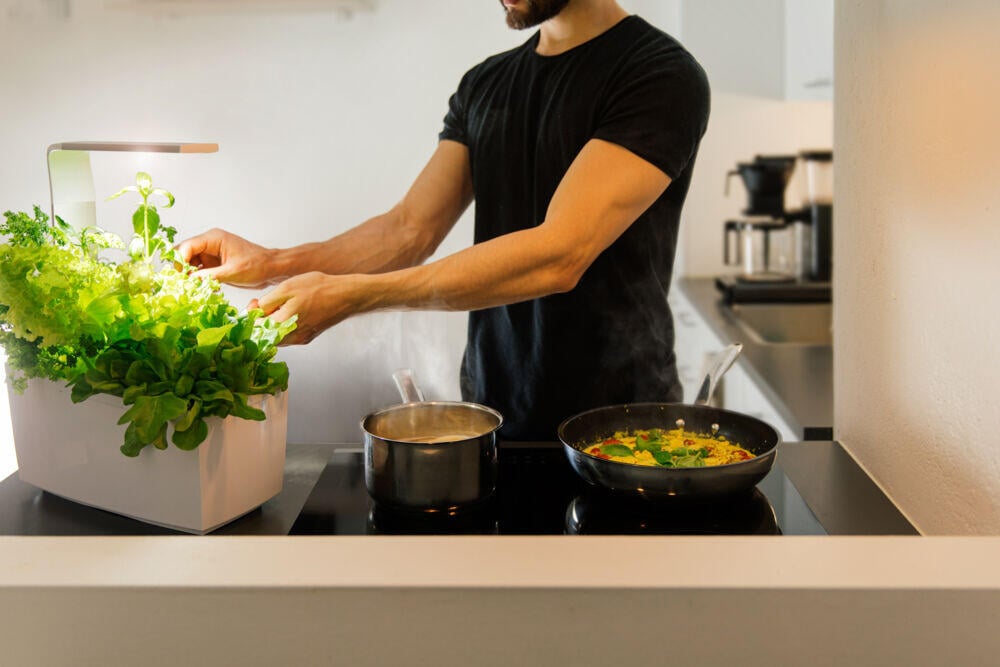 Tregren kjøkkenhage/minidrivhus T6, hvit