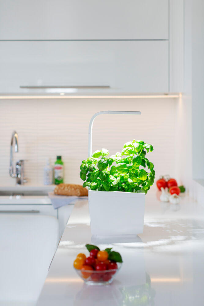 Tregren kjøkkenhage/minidrivhus T3, hvit