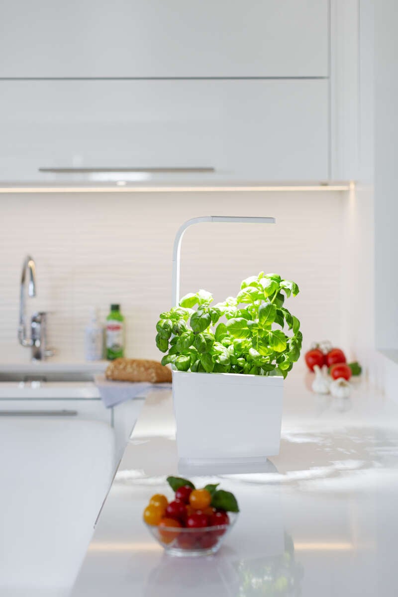 Tregren kjøkkenhage/minidrivhus T3, hvit