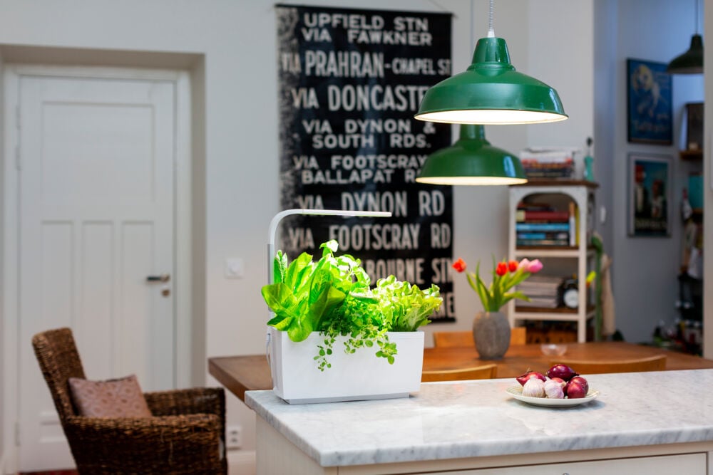 Tregren kjøkkenhage/minidrivhus T6, hvit