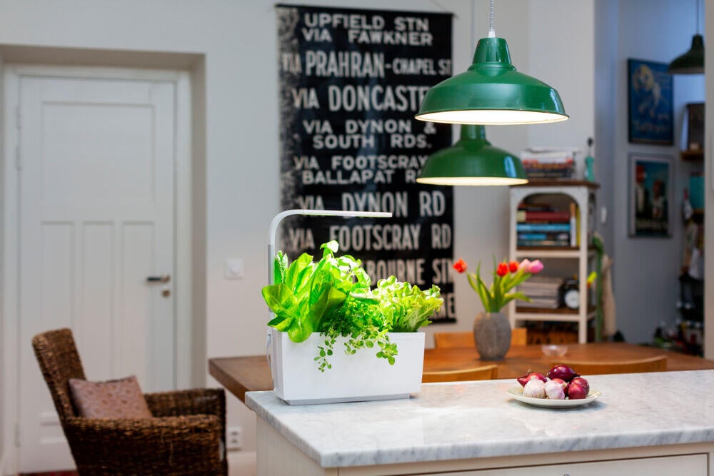 Tregren kjøkkenhage/minidrivhus T6, hvit