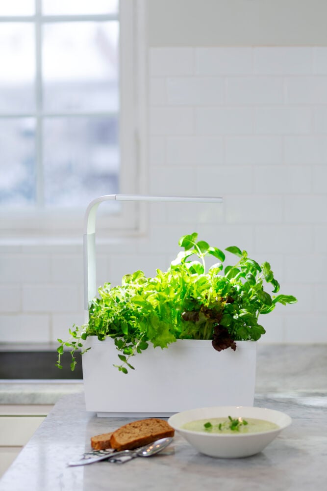 Tregren kjøkkenhage/minidrivhus T6, hvit