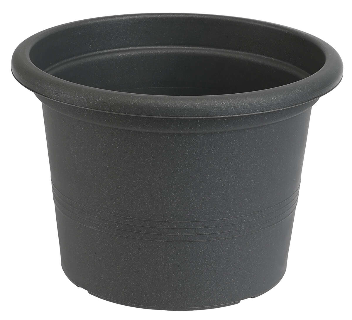 Odle Camelie dyrkepotte