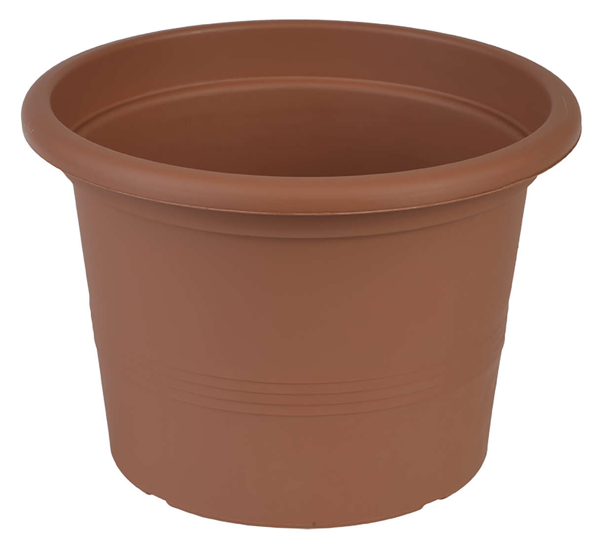 Odle Camelie dyrkepotte