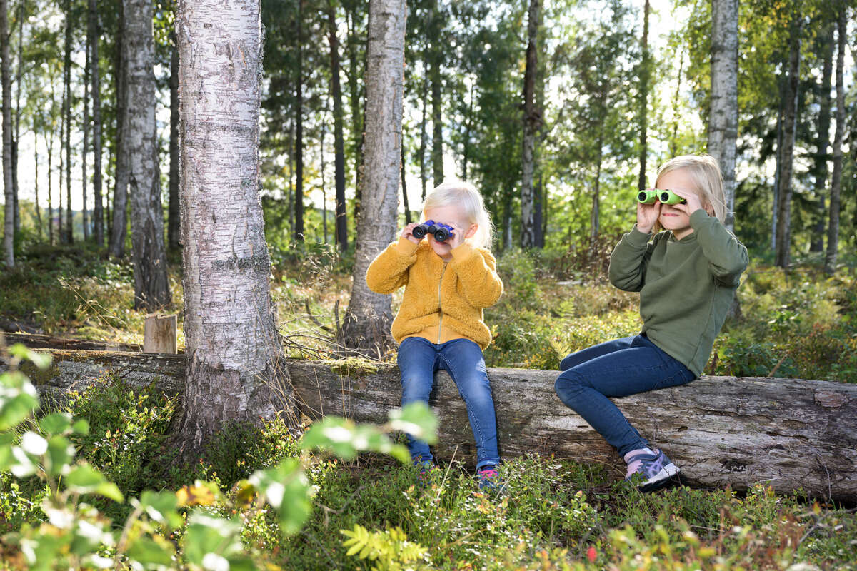 Focus junior 6x21 kikkert