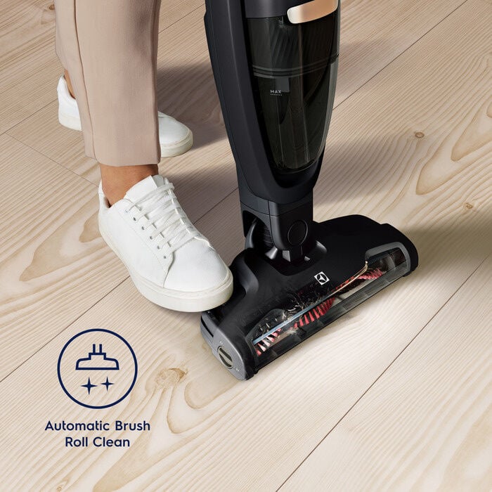 Electrolux WQ61-42GG WELL Q6 støvsuger