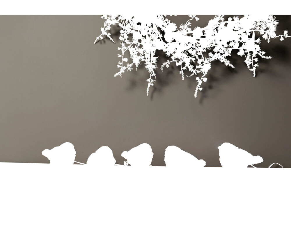 Dompaplyslenke med LED-lys