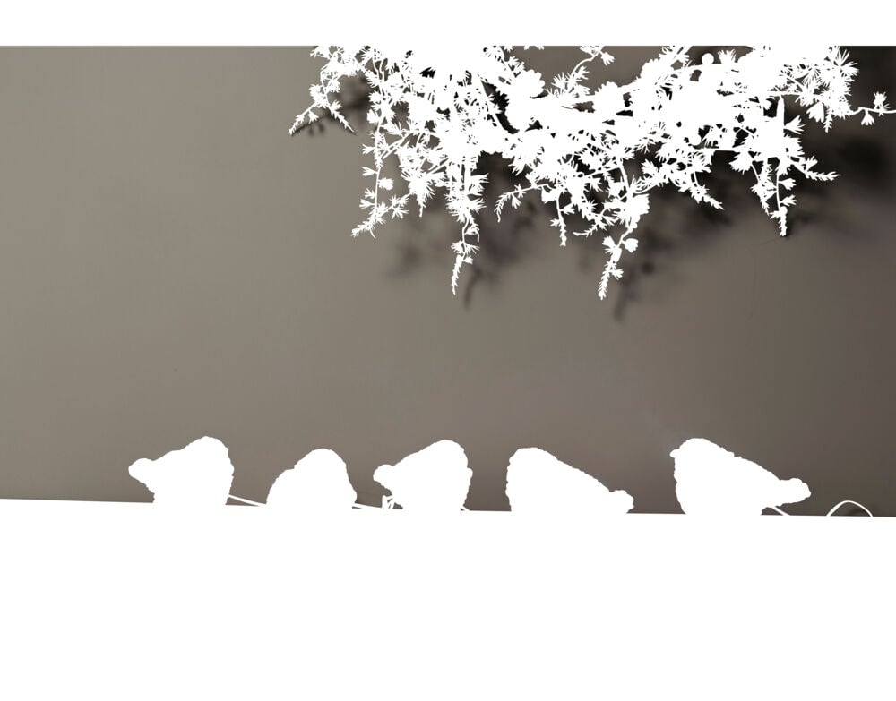 Dompaplyslenke med LED-lys