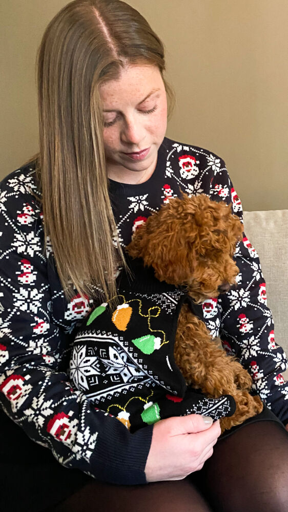 Hudson hundegenser med julemotiv