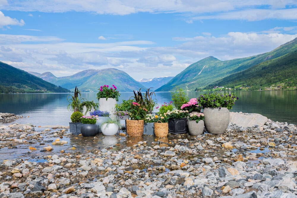 Odle Bergen potte