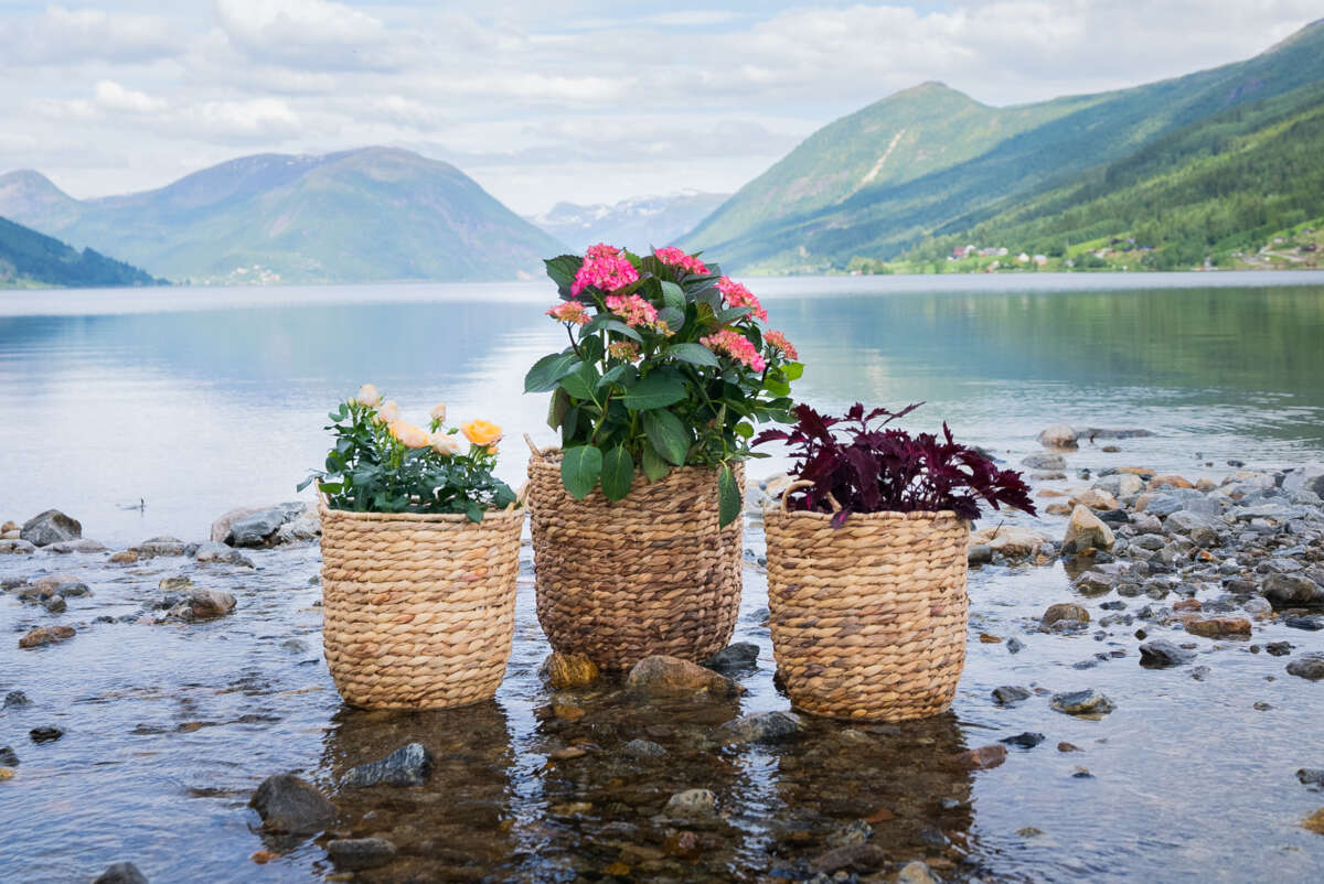 Blomsterkurv