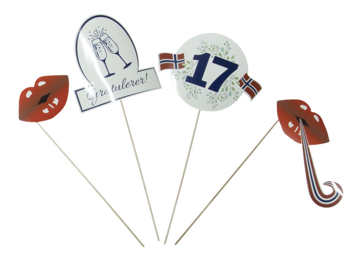 17. mai samleeske med pynt