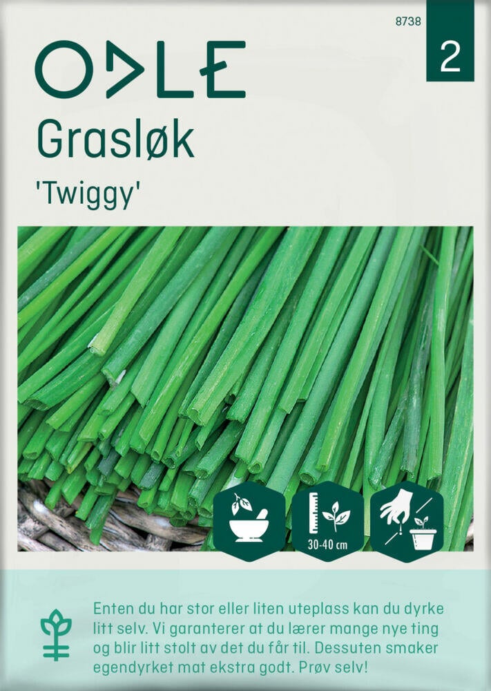 Odle 'Twiggy' grasløk frø